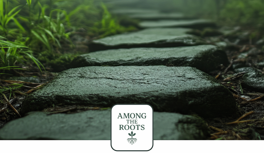 Welcome to the Thicket