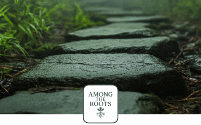 Welcome to the Thicket