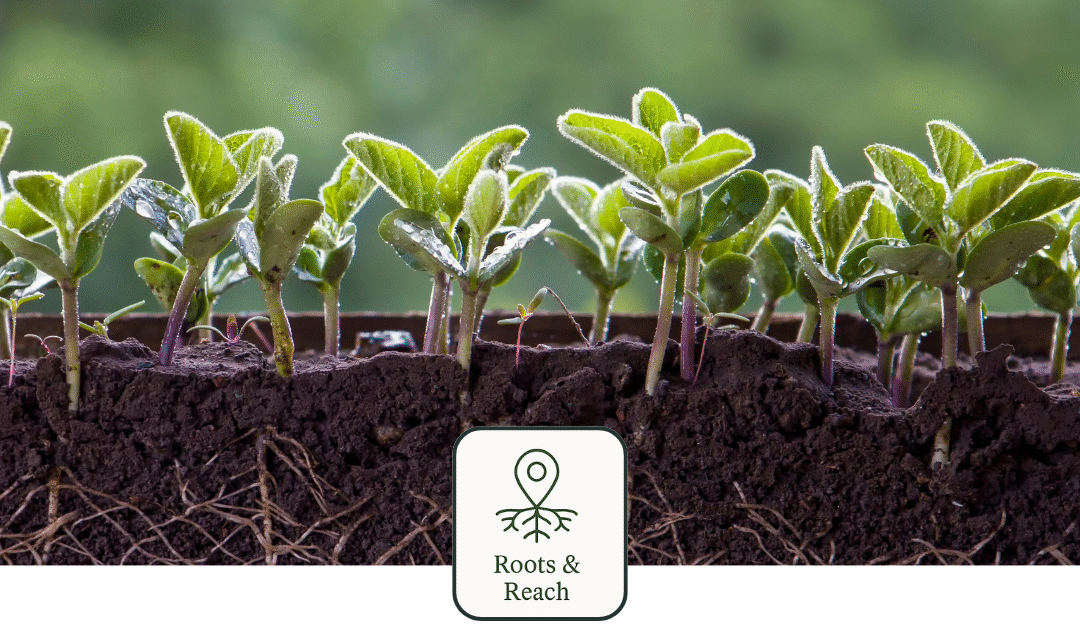 Marketing Isn’t a Funnel. It’s a Root System.