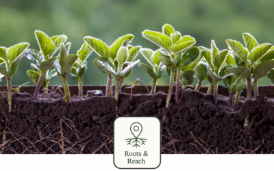 Marketing Isn’t a Funnel. It’s a Root System.