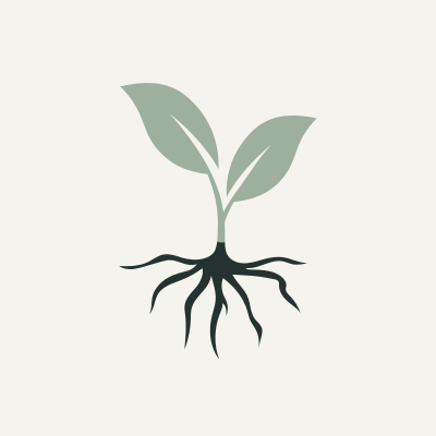 The Thicket Studio | Marketing Strategy | Rooted in Strategy