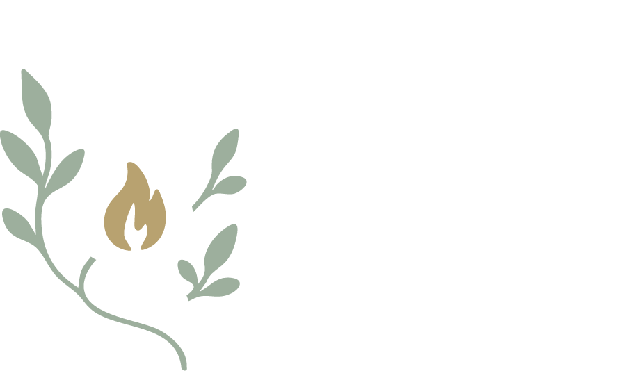 The Thicket Studio | Marketing
