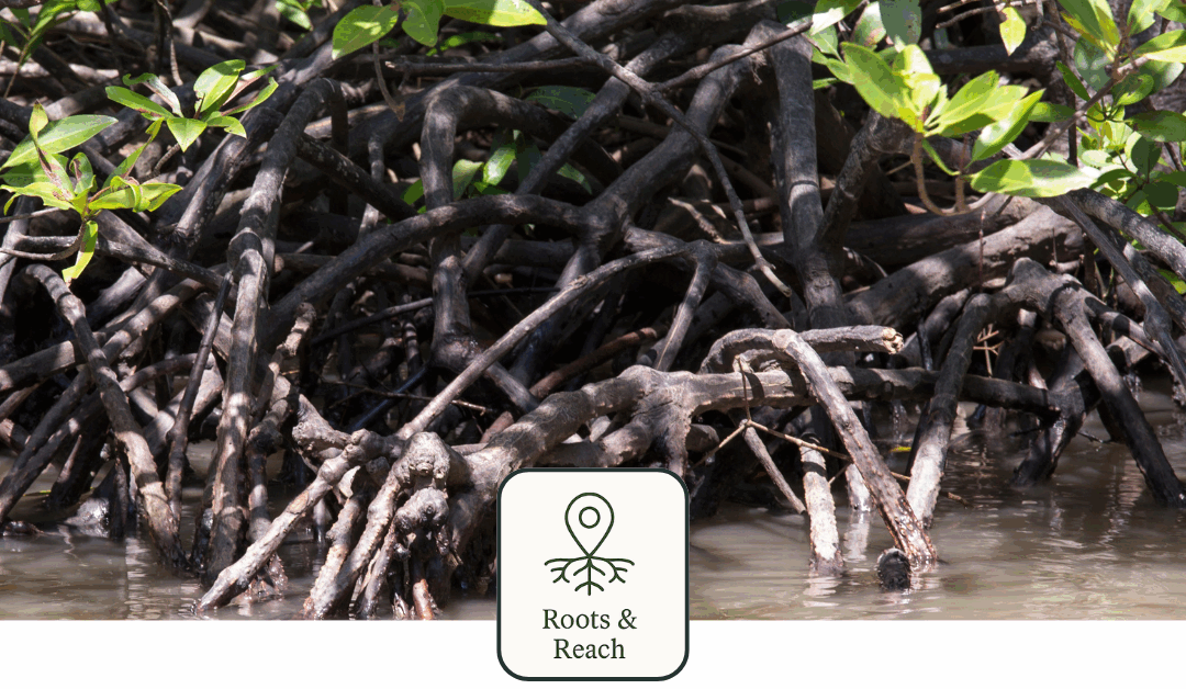 The Hidden Cost of Chasing Marketing Trends