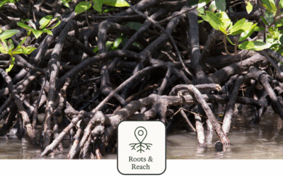 The Hidden Cost of Chasing Marketing Trends