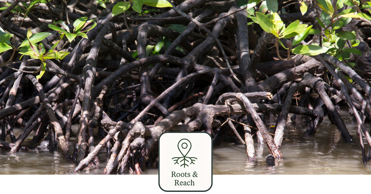 The Thicket Studio | The HIdden Cost of Chasing Marketing Trends