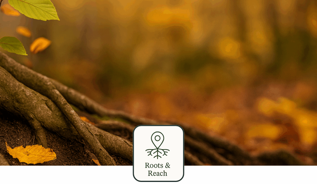 Why Brand Messaging Is the Root of Every Marketing Strategy