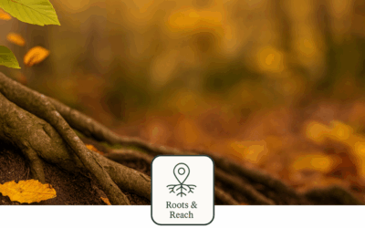 Why Brand Messaging Is the Root of Every Marketing Strategy