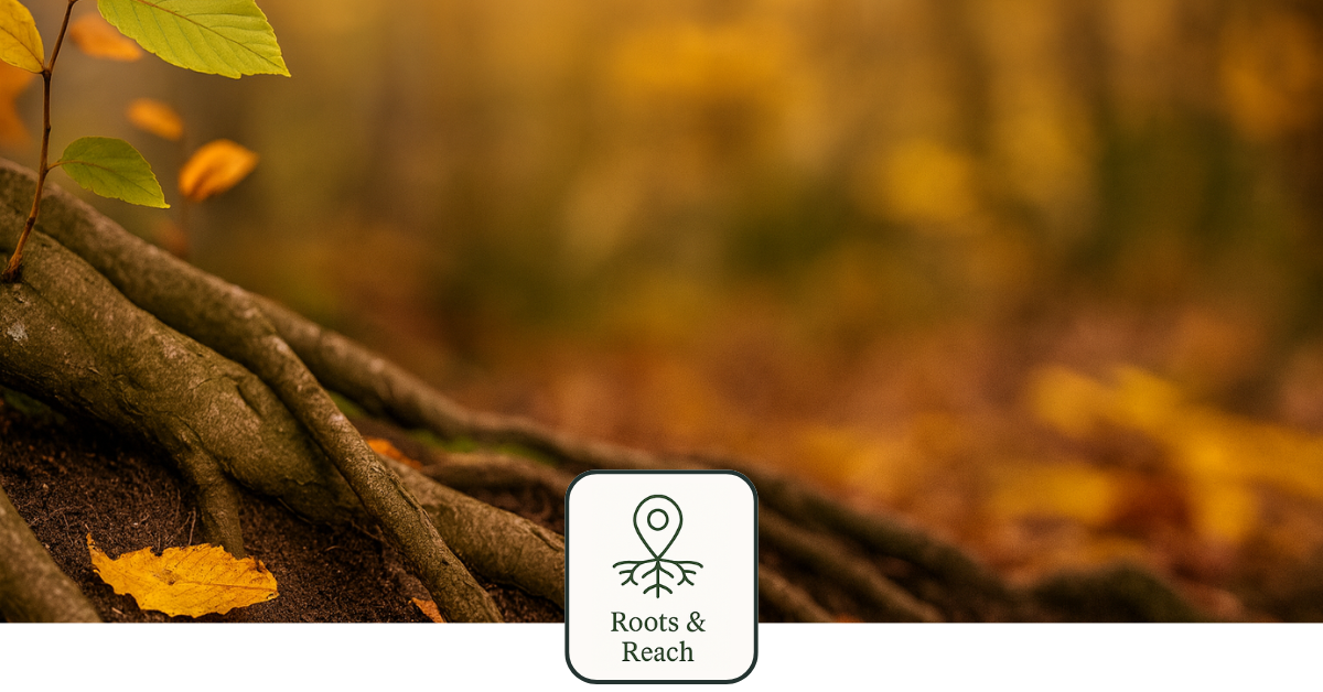 The Thicket Studio | Why Brand Messaging is the Root of Marketing Strategy