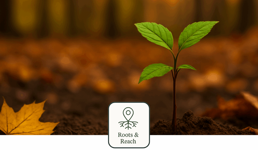 Do I Need a Full Brand Strategy or Just a Logo?