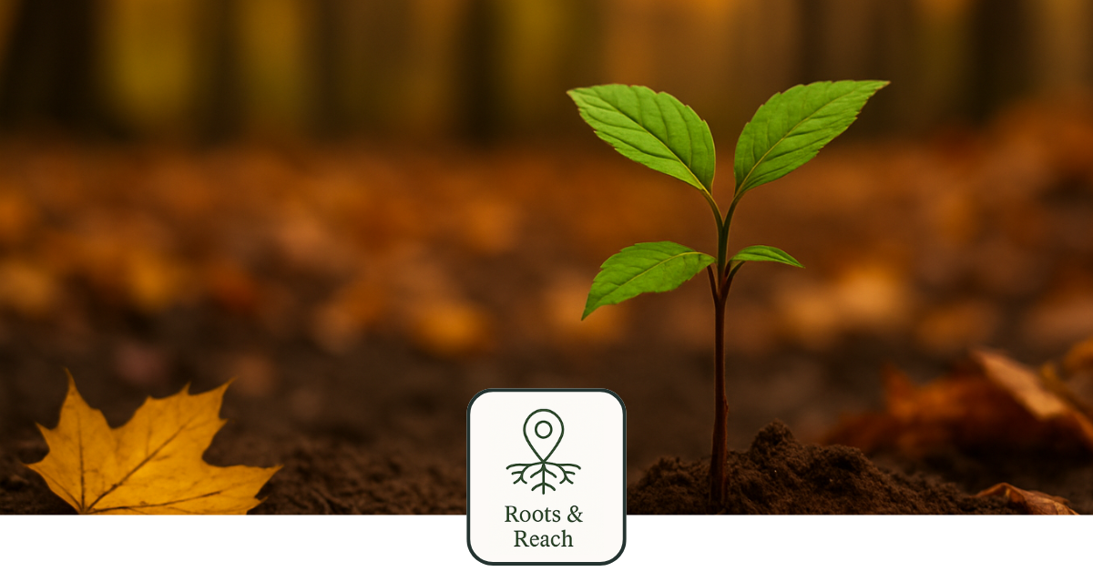 The Thicket Studio | Brand Strategy vs Logo