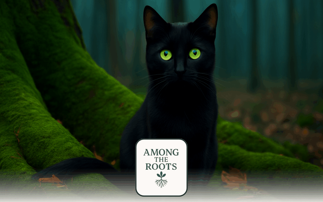 When the Black Cat Came