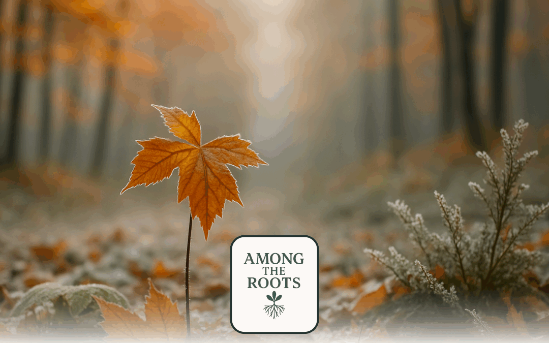 What Grows from Gratitude