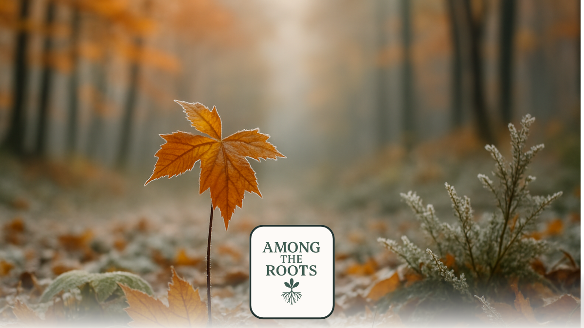 The Thicket Studio | What Grows from Gratitude