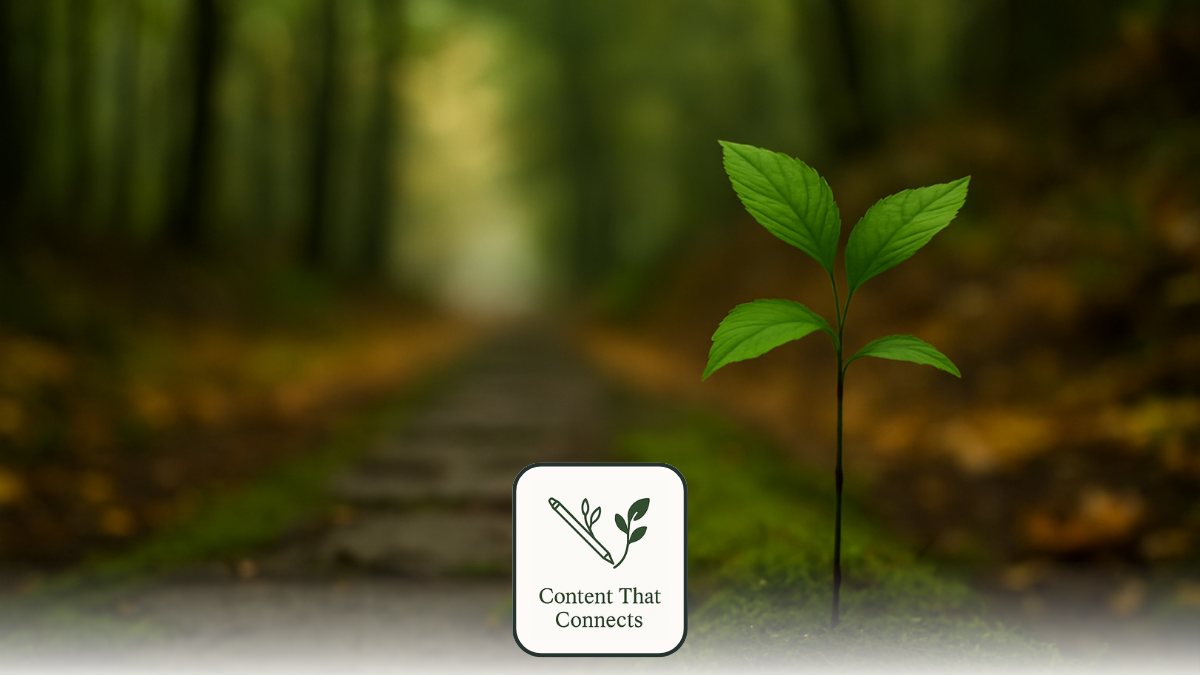 The Thicket Studio | Homepage Copywriting - Content that Converts