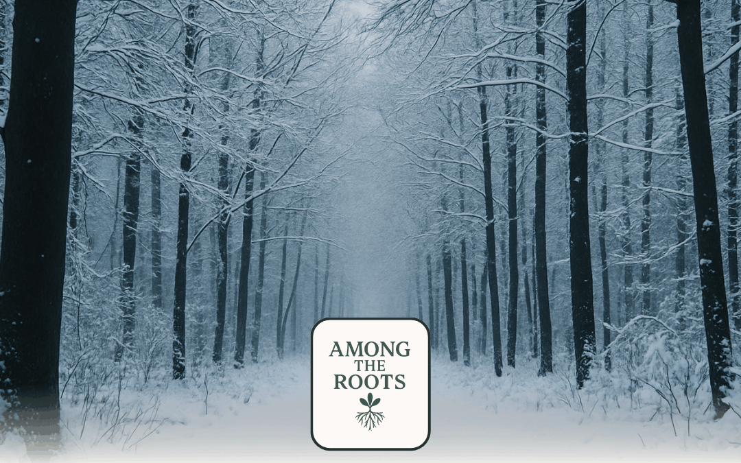 What Winter Teaches About Growth