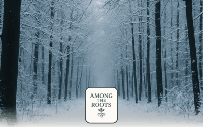 What Winter Teaches About Growth