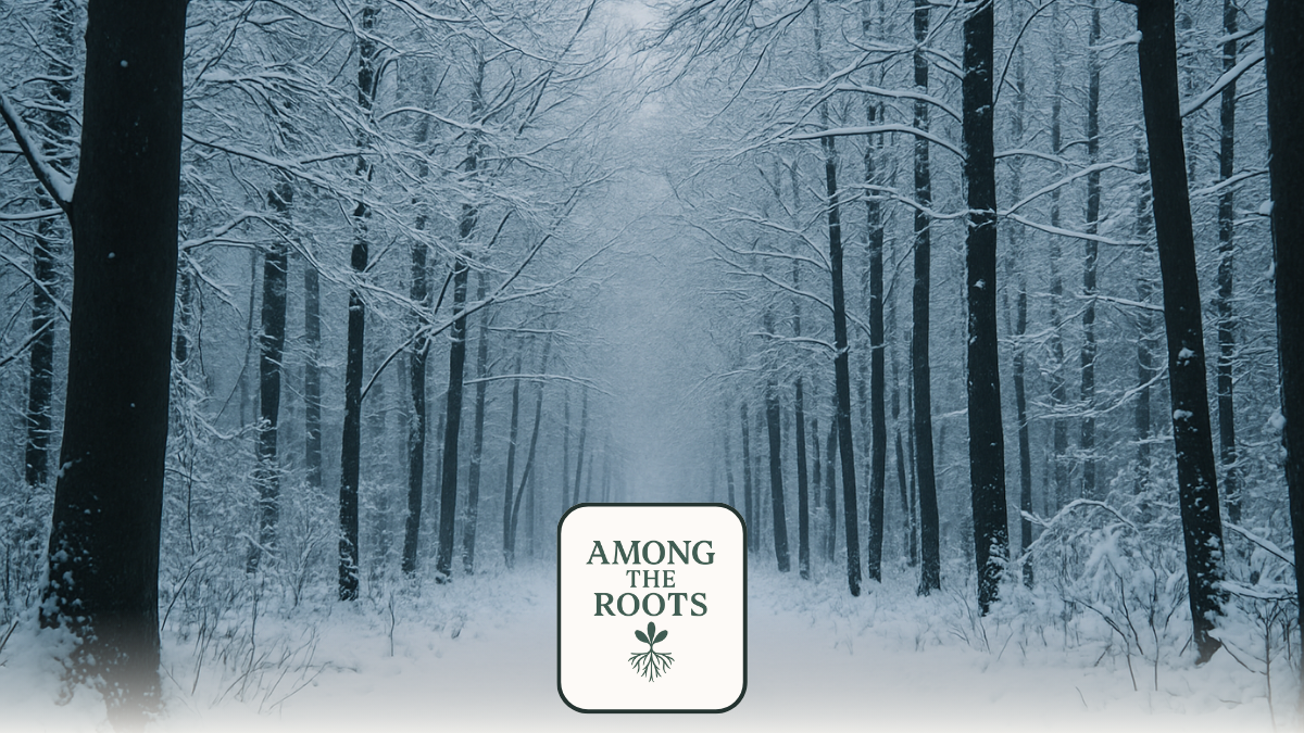 The Thicket Studio | What Winter Teaches About Growth