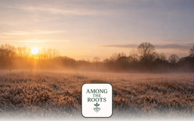 Beginning Again: Why Fresh Starts Don’t Require Reinvention