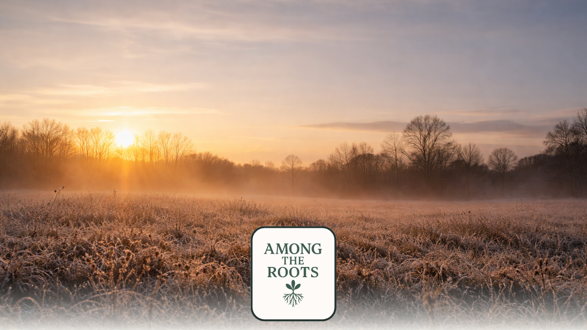 The Thicket Studio | Why Fresh Starts Don’t Require Reinvention