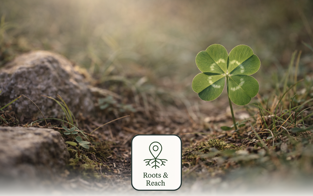 There’s No Such Thing as Luck in Business — Only Compounding Choices