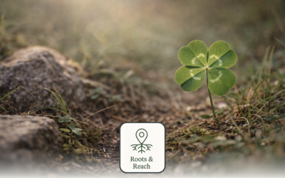 There’s No Such Thing as Luck in Business — Only Compounding Choices