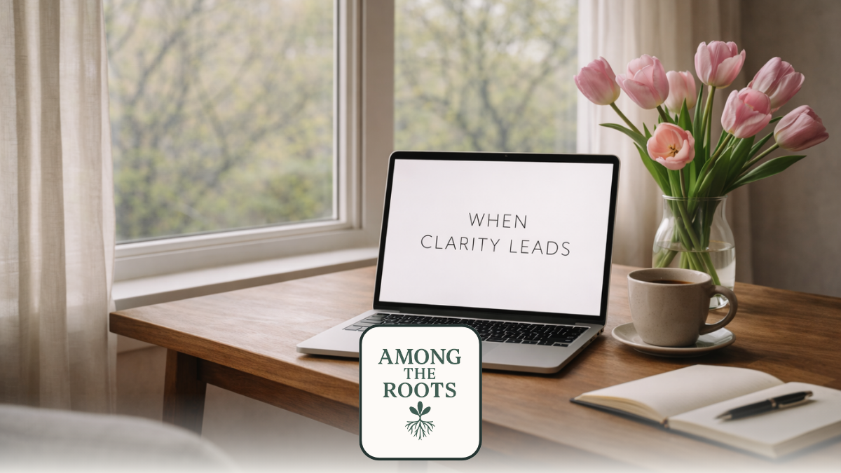 The Thicket Studio | When Clarity Leads Marketing | When Marketing is Clear